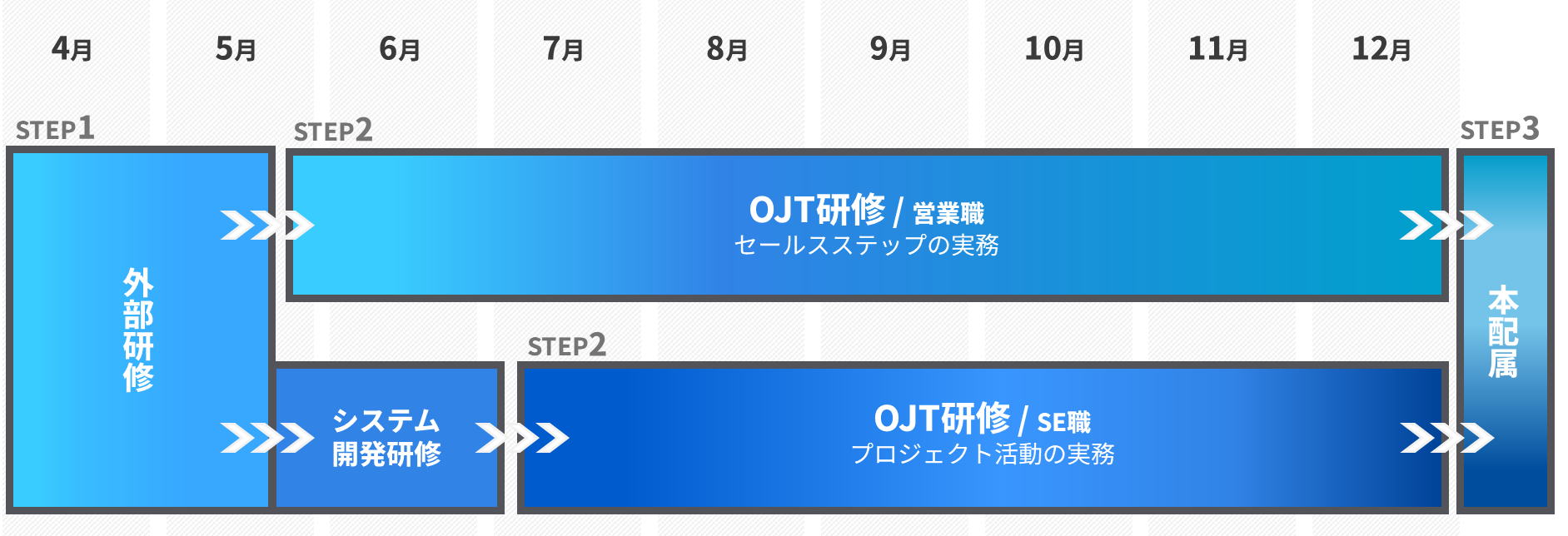研修プログラム
